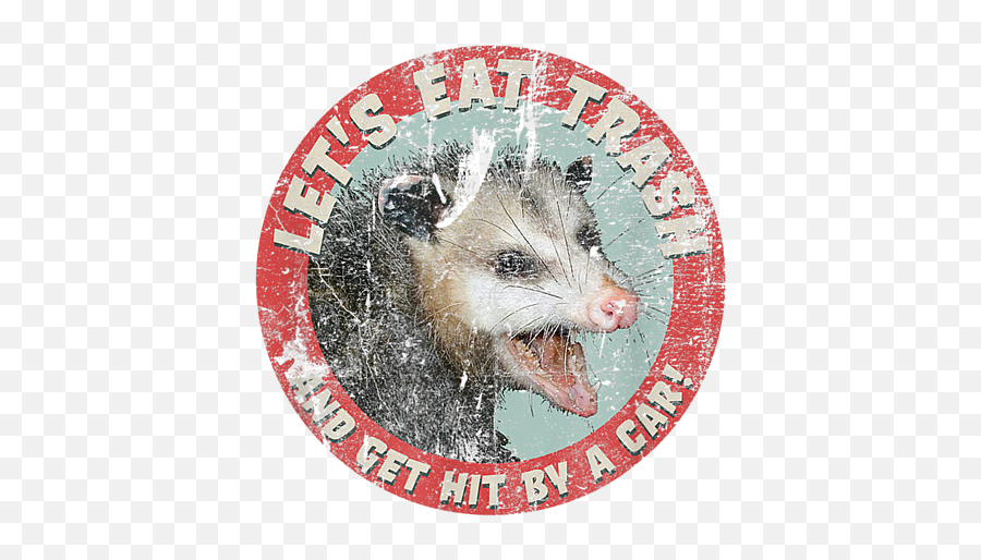 Lets Eat Trash And Get Hit By A Car Possum Puzzle For Sale Png Icon