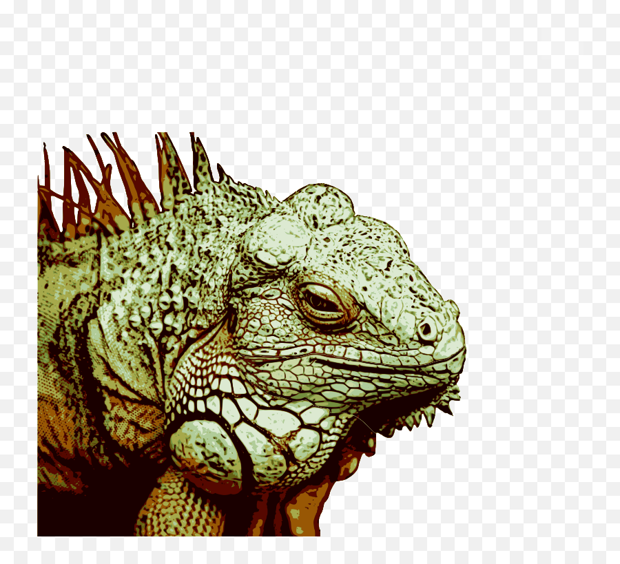 Openclipart - Clipping Culture Png,Iguana Icon