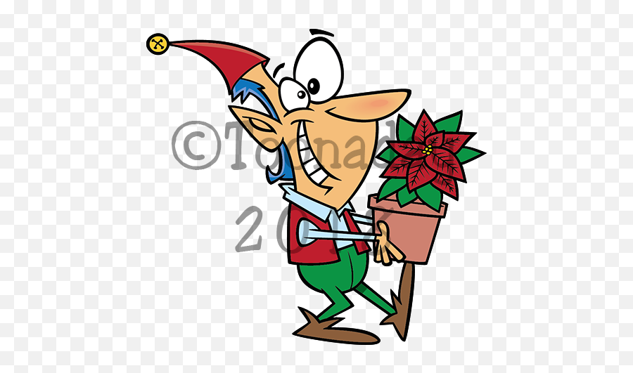 Poinsettia - Shoes Removing Images Cartoon Png,Poinsettia Png