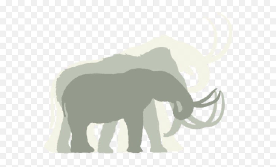 Mammoth Clipart Mastodon - Columbian Mammoth Woolly Mammoth Indian Elephant Png,Mastodon Png