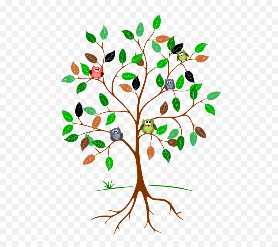 Tree Roots Cliparts 2 Buy Clip Art - Carbon Footprint Activities For Kids Png,Tree Roots Png