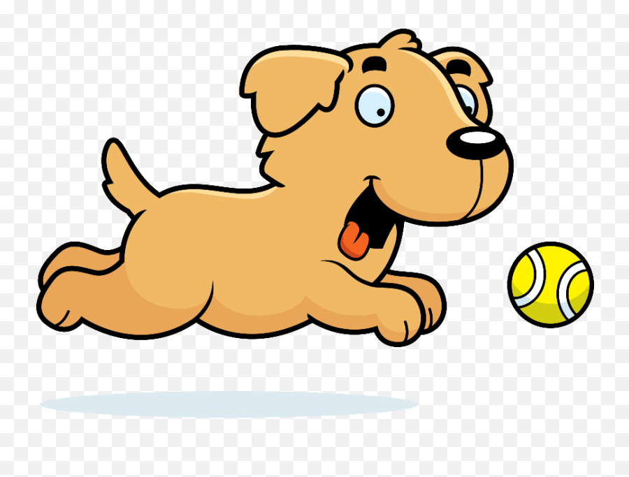 How Fast Can A Golden Retriever Run Dog Breeds List Png Transparent Background