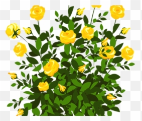 Bush Plan Png - Rose Bush Clipart Flowery With Yellow Plant Png