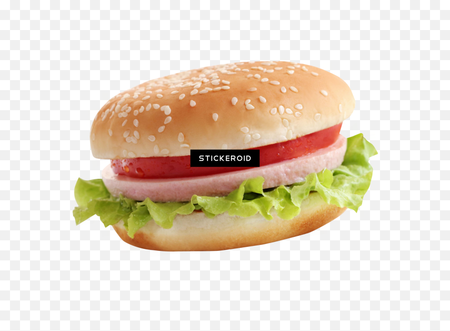 Download Burger - Hamburger Png Image With No Background Veg Burger Png,Hamburger Png