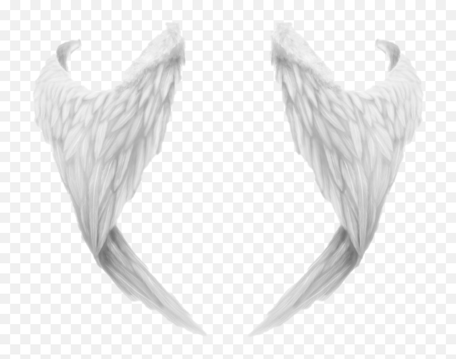 Angel Wings Png File - Angel Wings Png,Black Angel Wings Png