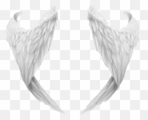 Free Transparent Black Angel Wings Png Images Page 1 Pngaaa Com - black sparkling angel wings roblox