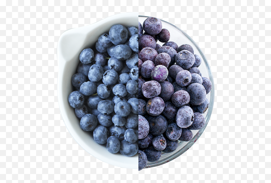 Download Fresh Or Frozen Blueberries - Blueberry Png Image Blueberry,Blueberry Transparent Background