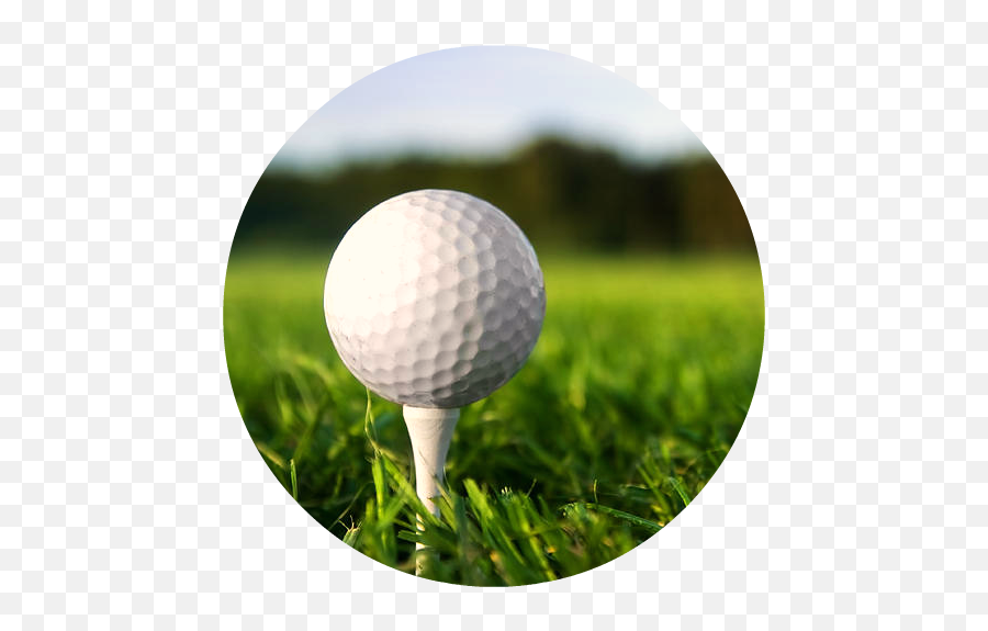 Golf Balls Tees Course - Golf Ball And Golf Tee Png,Golf Tee Png