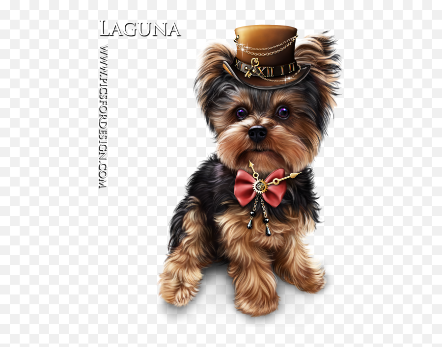 Png Image - Yorkshire Terrier,Yorkie Png