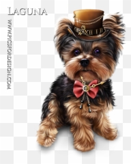 Png Image - Yorkshire Terrier,Yorkie Png