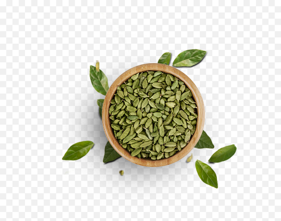 Top View Of Tree Png - Cardamom View Top Herb Png Cardamom Top View Png,Herb Png