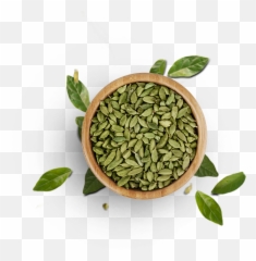 Top View Of Tree Png - Cardamom View Top Herb Png Cardamom Top View Png,Herb Png