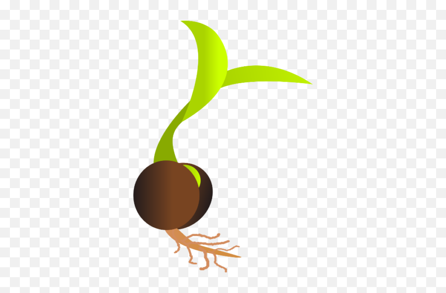 Cropped - Germinating Seed Clipart Png,Seedling Png