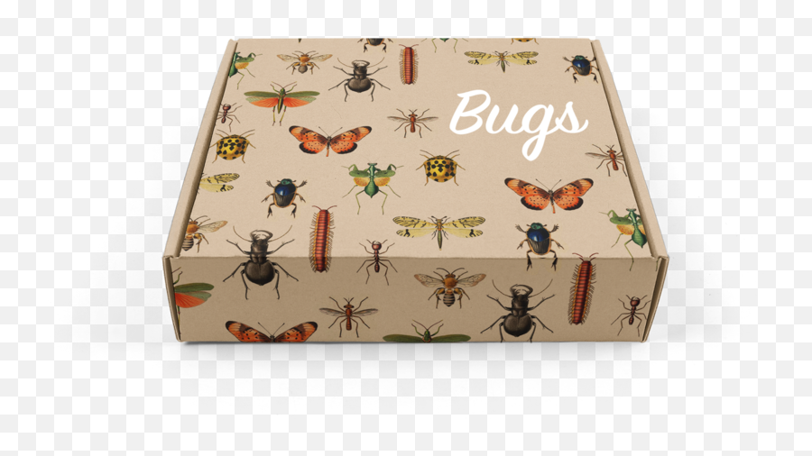 Arboretum 2019 Png Bugs