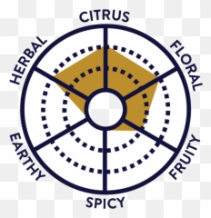 Our Kombucha Flavors Png Flavor Icon