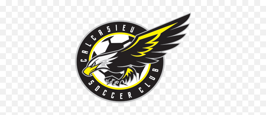 Latest News Calcasieu Soccer Club - Calcasieu Soccer Club Png,Spread Eagle Icon