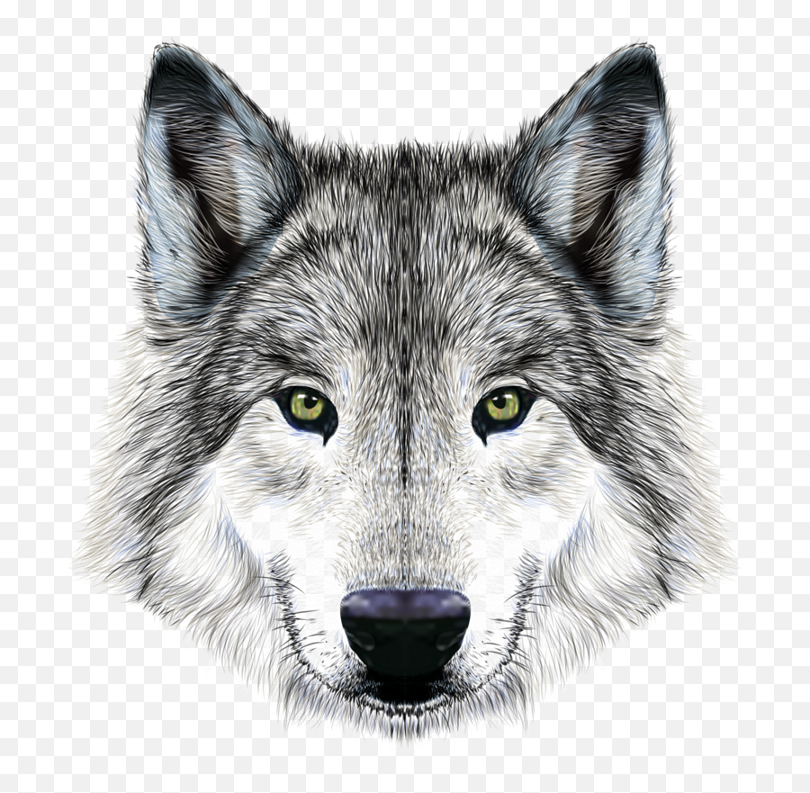 Black Wolf Face Png / Wolf face png images, bad wolf, north face, gray ...