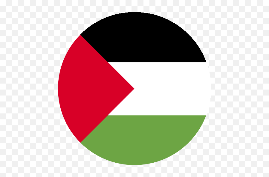 Transcription Services Pangeanic Translation Company - Palestine Flag For Insta Png,Transcribe Icon