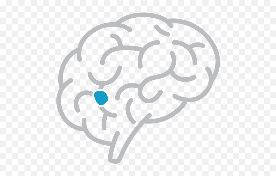 Metropolitan Neurosurgery Neurological Conditions - Brain Silhouette Png,Brain Icon Vector