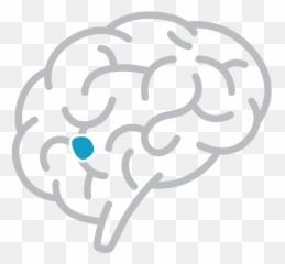 Metropolitan Neurosurgery Neurological Conditions - Brain Silhouette png