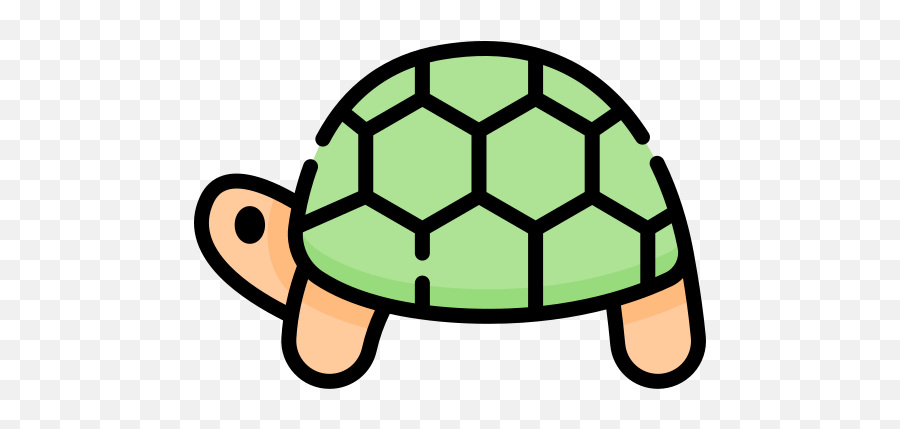 Tablero Características De Animales By Teresa Sanchez - Global Leadership Icon Png,Turtle Shell Icon