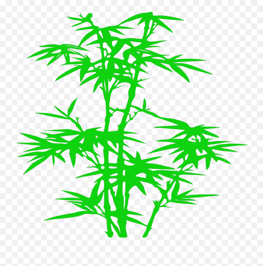Bamboo Plant Leaves Green Backgrounds - Slide Backgrounds Png,Bamboo Leaves Png