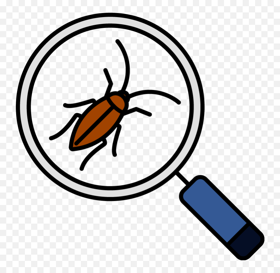 Get Rid Of Pests With Help From The Experts Transparent PNG