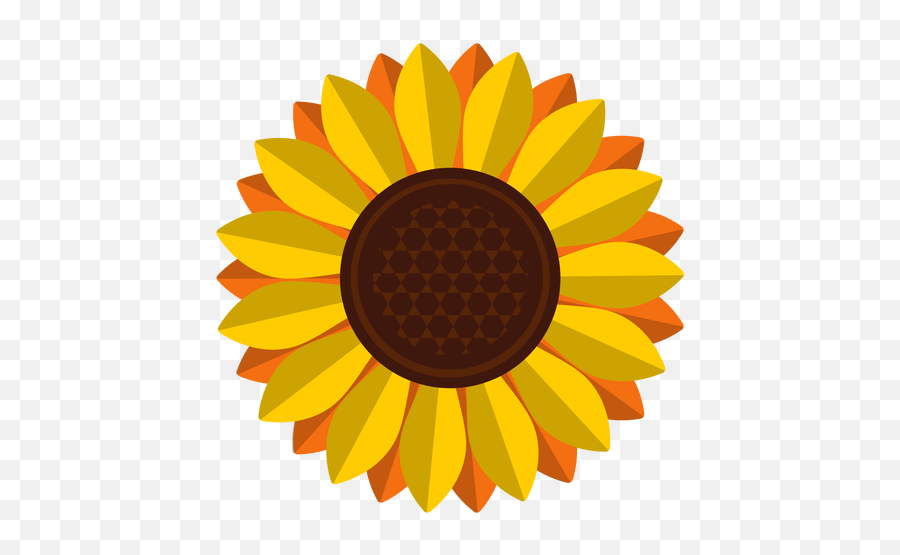 Sunflower Vector Png Transparent Free - Bluetop,Transparent Sunflower