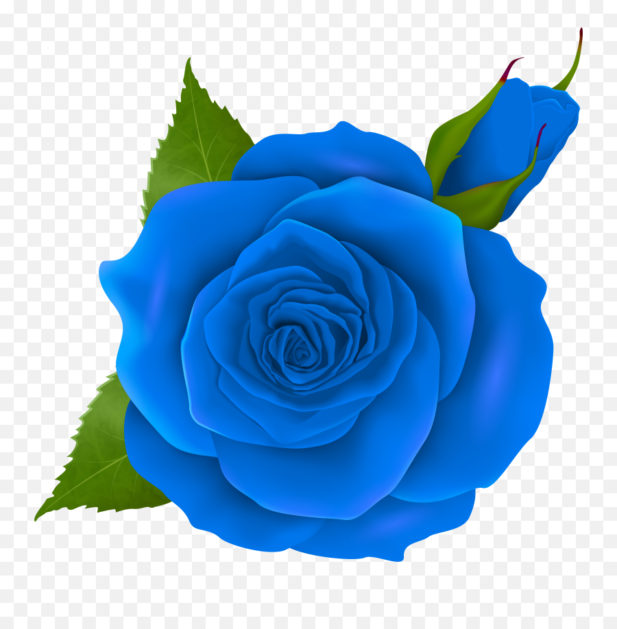 Blue Rose Clipart Png Transparent