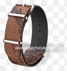 Snake - Bracelet Png,Snake Scales Png
