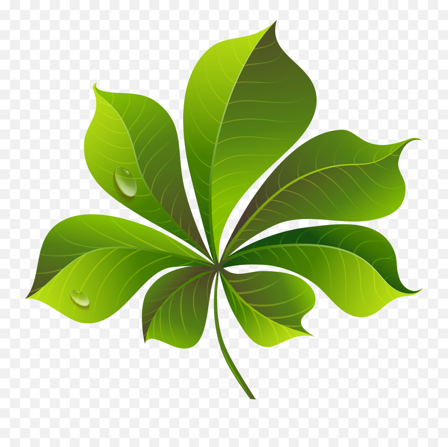 Green Leaves Transparent Png Clipart - Green Transparent Background Leaf Png Clipart,Leaves Clipart Png