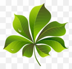 Green Leaves Transparent Png Clipart - Green Transparent Background Leaf Png Clipart,Leaves Clipart Png