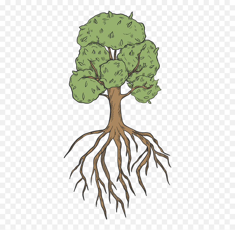 Clipart - Illustration Png,Tree Roots Png