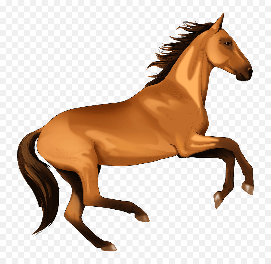 Akhal - Horse Clipart Png,Horse Transparent Png