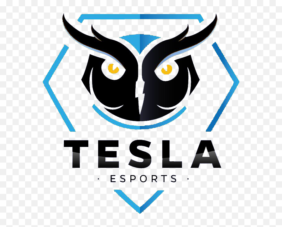 Tesla E - Sports Leaguepedia League Of Legends Esports Wiki One Paper Lane Logo Png,Tesla Logo Png