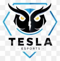 Tesla E - Sports Leaguepedia League Of Legends Esports Wiki One Paper Lane Logo Png,Tesla Logo Png