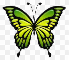 Download Green Butterfly Png Image