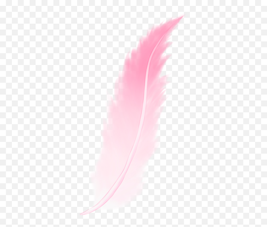 Download Pink Feather Png - Bird,Feather Png