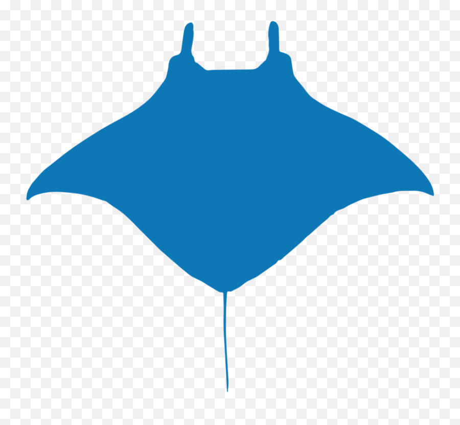 Brazil U2014 Manta Trust - Manta Ray Drawing Png,Ray Png