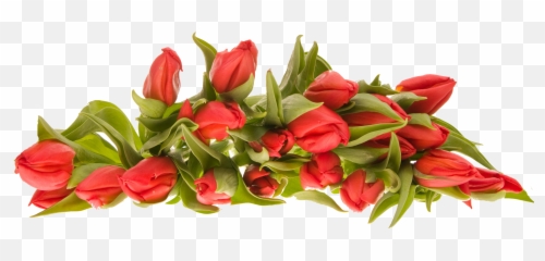 Bouquet Of Flowers Icon Web Icons Png - Buke Png