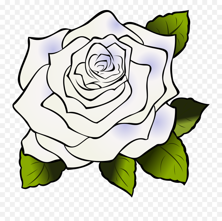 White Rose Svg Vector Clip Art - Svg Clipart Rose Drawing Clipart Png,White Rose Transparent