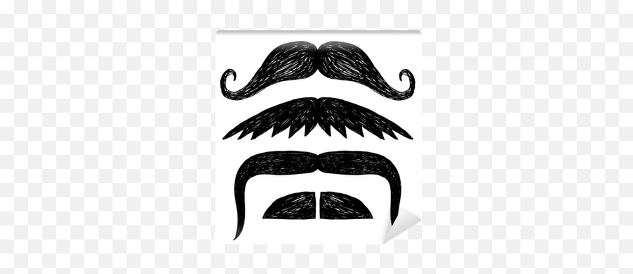 Set Of Hand Drawn Mustache Wall Mural U2022 Pixers We Live To Change - Hair Design Png,Moustaches Logo