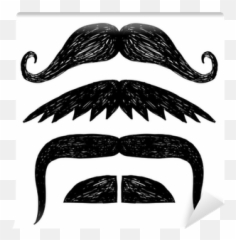 Set Of Hand Drawn Mustache Wall Mural U2022 Pixers We Live To Change - Hair Design png