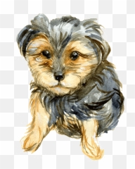 Yorkie Clipart - Yorkie Poo Clipart Png,Yorkie Png