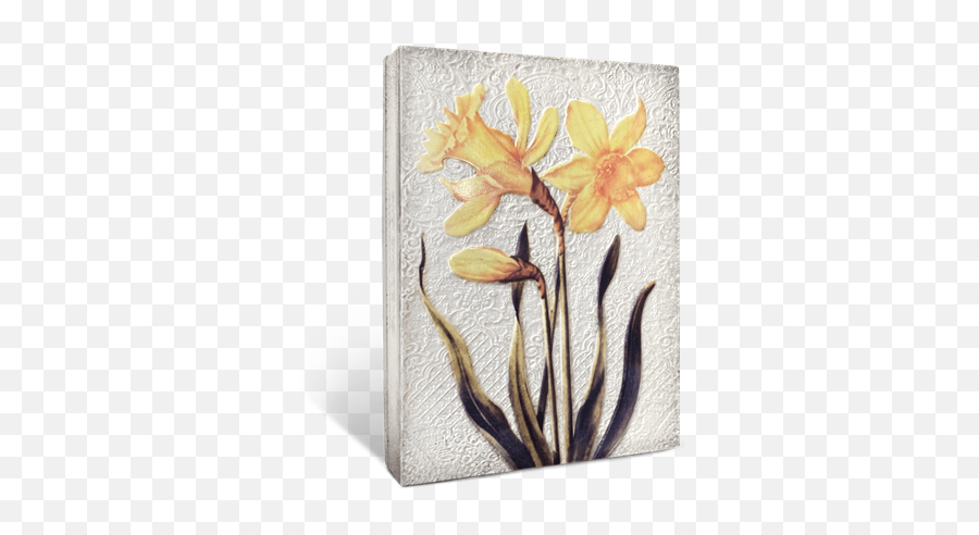 Daffodils Orange - Decorative Png,Daffodil Png