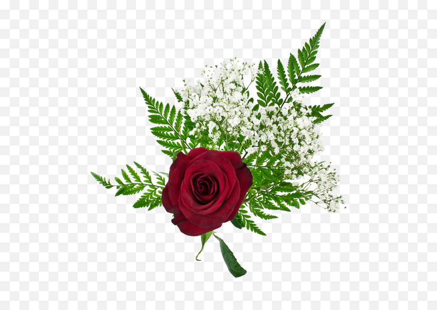 Flower Orders - Floribunda Png,Single Rose Png