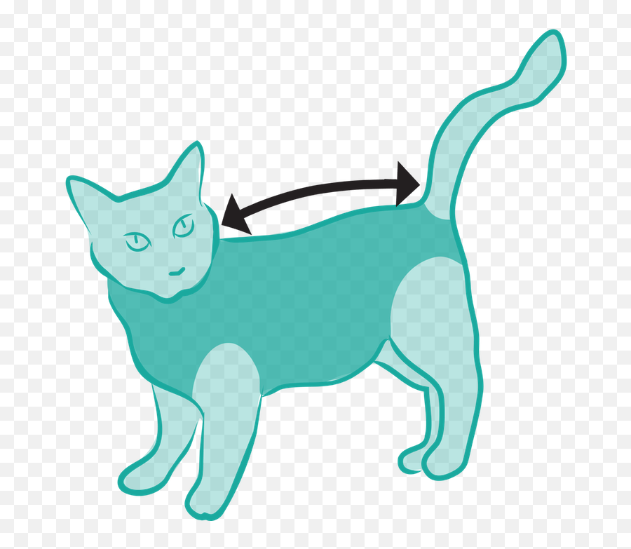 Post Surgical Suit For Cat Clipart - Camiseta Protectora Para Gatos Png,Cat Tail Transparent