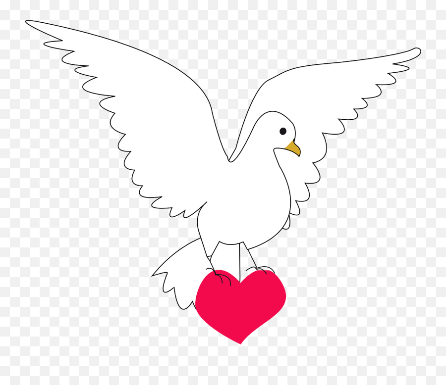 Download Free Photo Of Doveheartamourlovepeace - From Imagenes Del Amor Y La Paz Png,Heart With Wings Icon