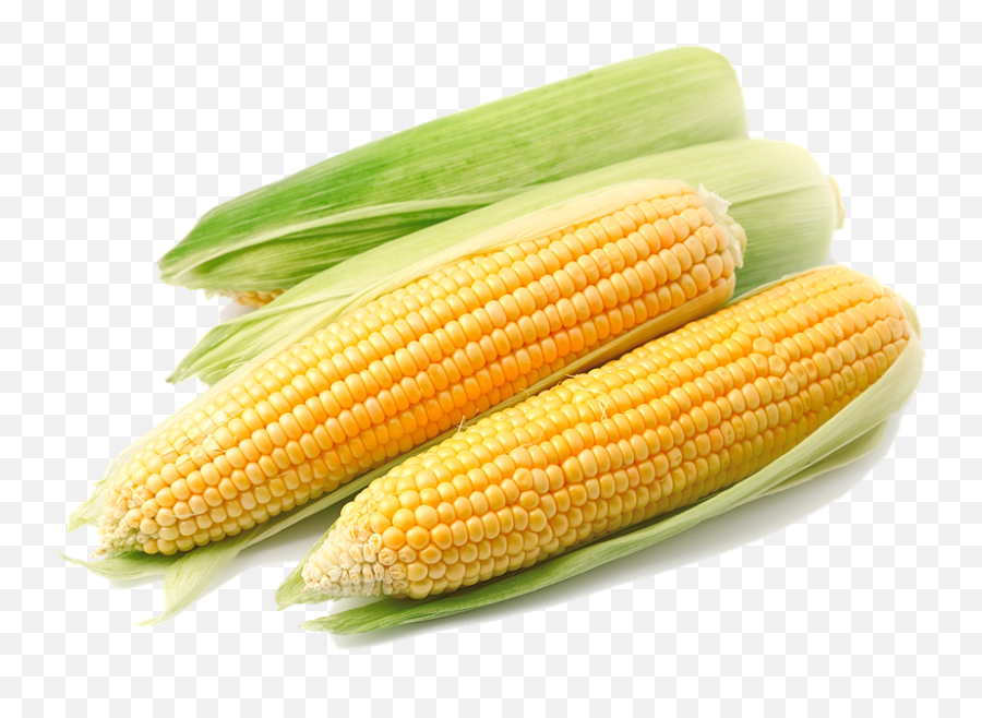 Corn Background Transparent Png - Corn Transparent Background,Corn Transparent Background