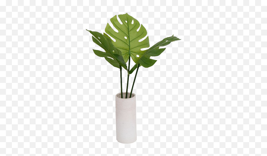 Plant Vase Png Image - Vase With Plant Png,Vase Png